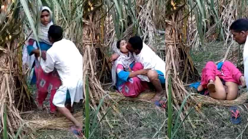 Watch Indian Village Jungle Local Sex Viral XXX Video